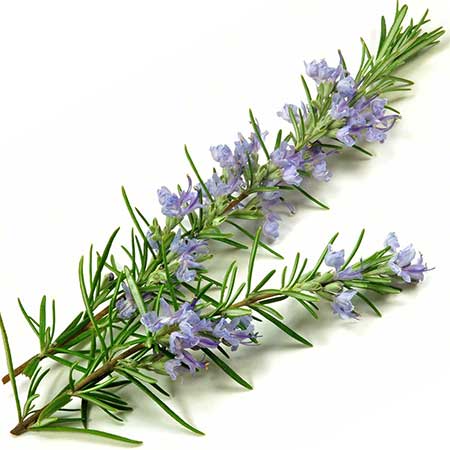 Hydrosols (Floral Waters)