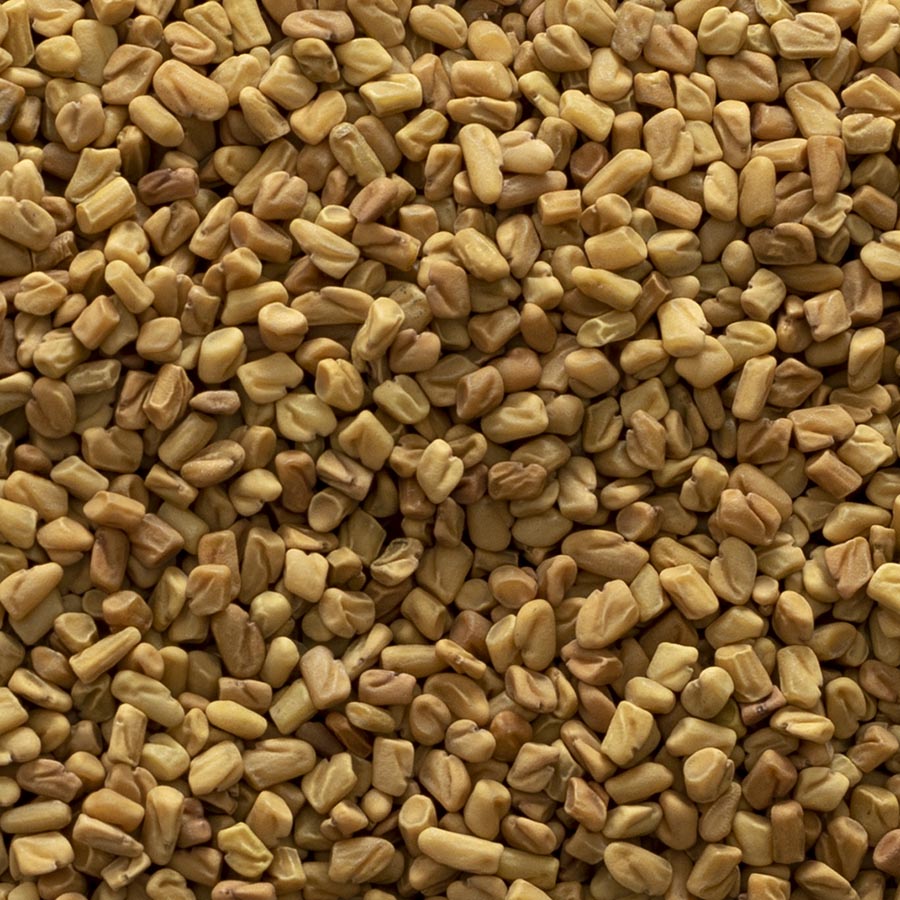 Fenugreek Seed, Organic