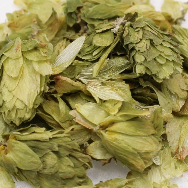 Hops Strobiles, Organic