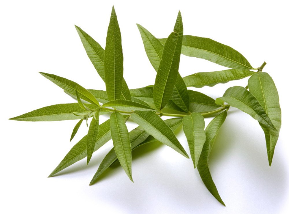 Hydrosols (Floral Waters)