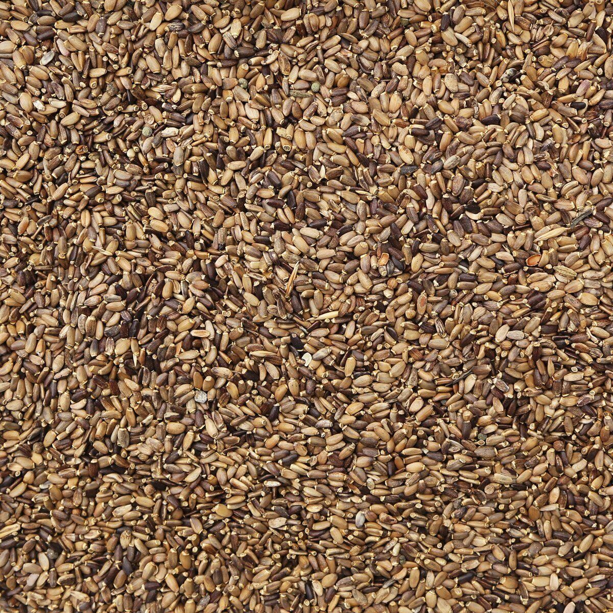 Milk Thistle Seed, Organic