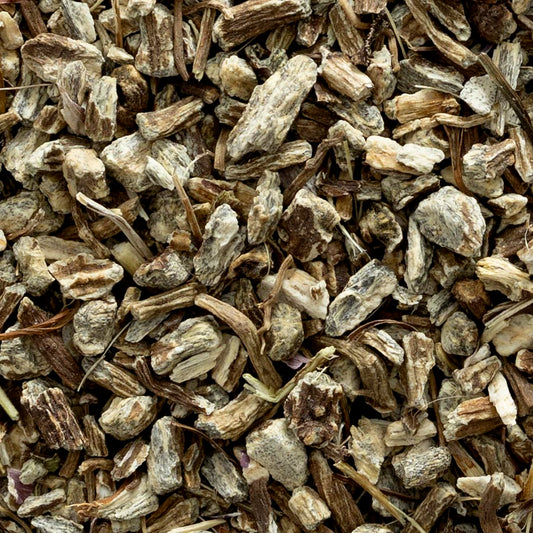 Echinacea angustifolia Root, Organic