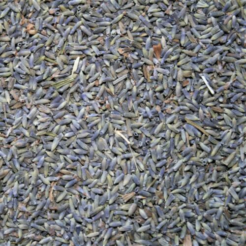 Lavender Flowers, Organic