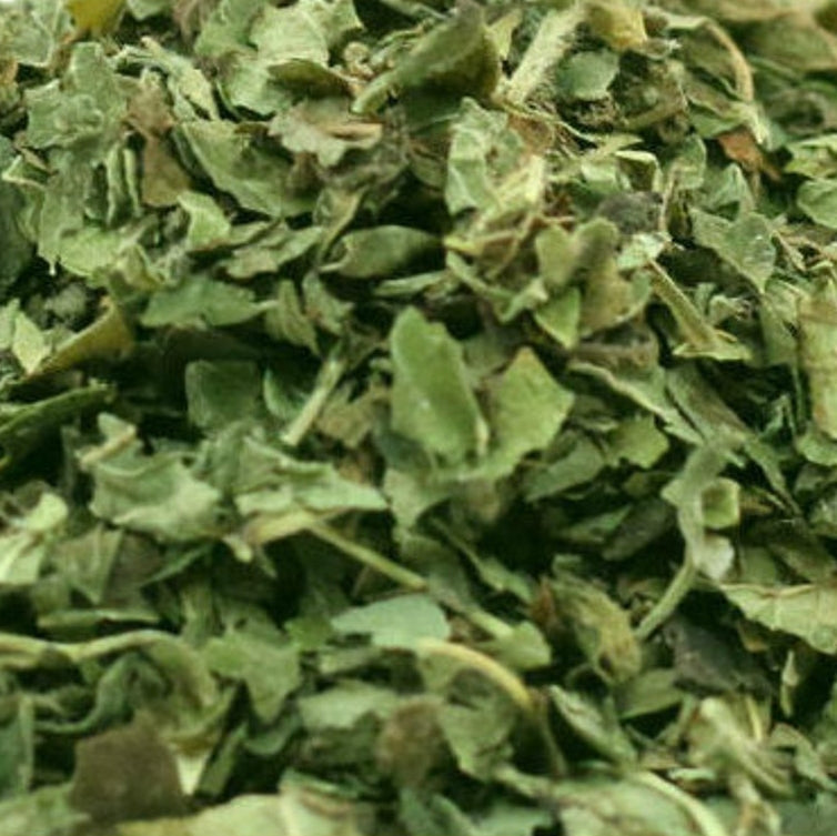 Lemon Balm, Organic
