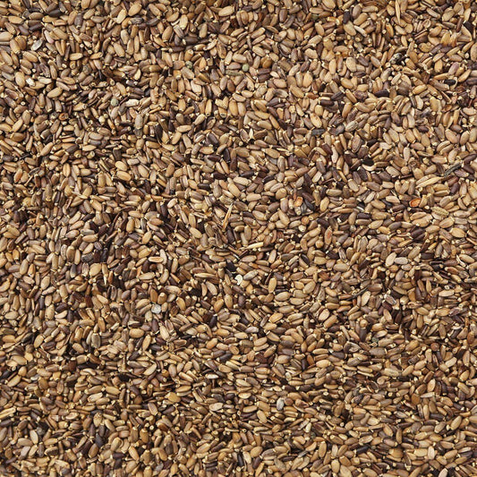Milk Thistle Seed, Organic