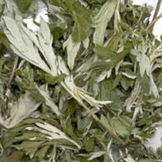 Mugwort, Organic