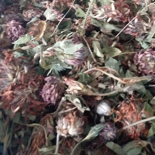Red Clover Blossoms, Organic