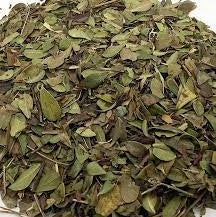 Uva Ursi, Organic