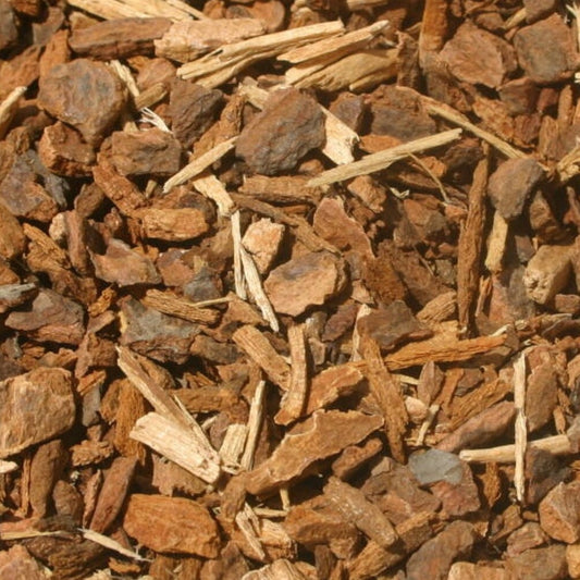 Wild Cherry Bark, Organic